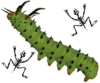 Halloween Caterpillar with Fossils