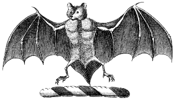 flying fox or fruit bat